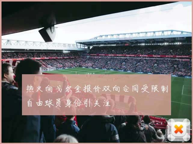 热火向戈尔金报价双向合同受限制自由球员身份引关注